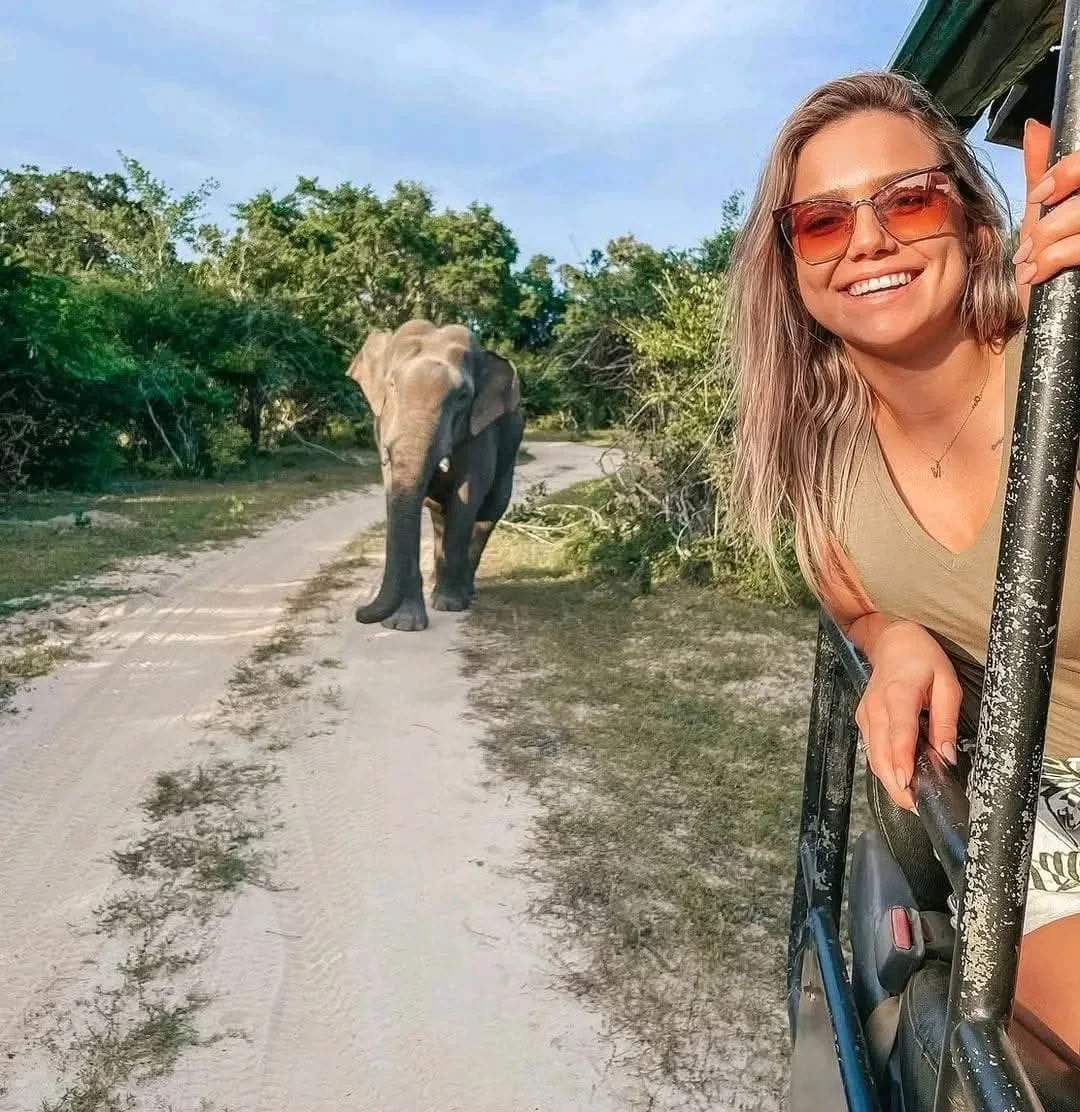 Female tourist close encounter with wild elephant Sri Lanka - Young woman traveler excited seeing elephant on rural road during wildlife tour