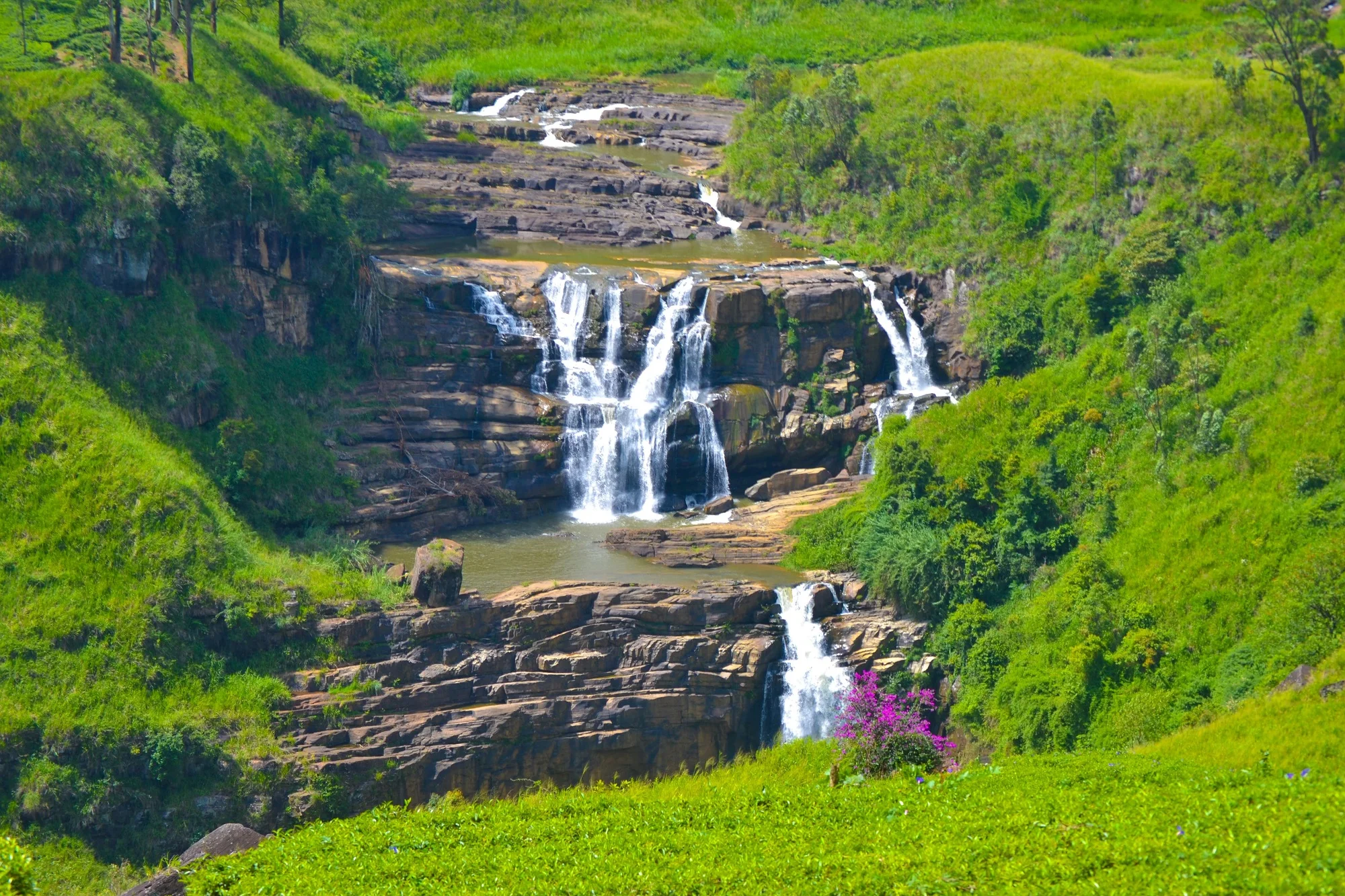 St Clair's Falls waterfall in tea country Sri Lanka - Spectacular multi-tier cascade flowing through lush green tea plantation landscape in Hill Country